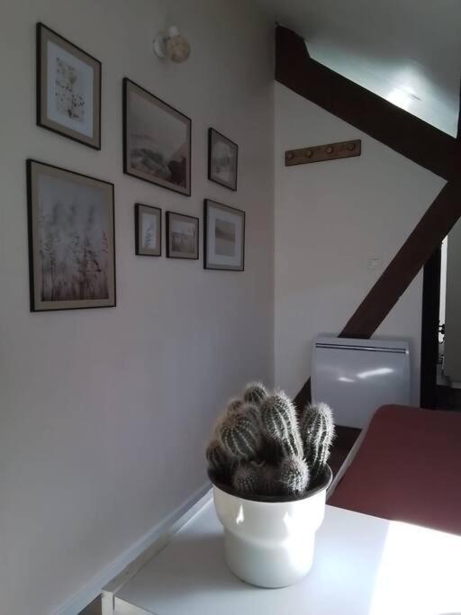 Charmante Petite Maison Vieux  Εξωτερικό φωτογραφία